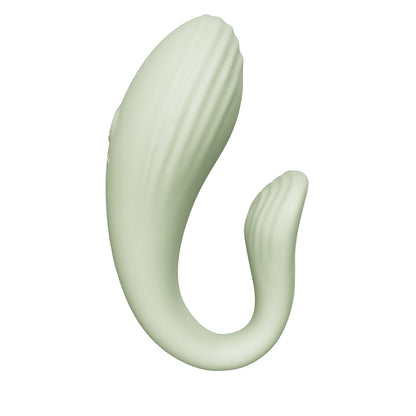 Wearable couple vibrator with remote